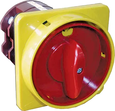 Cam switch CS 25 91 U LK 004773062