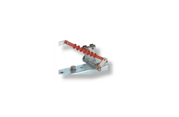 Micro switch NK 17 BSW 004349009